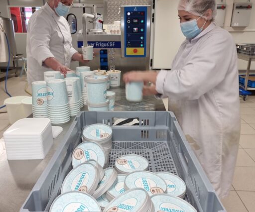 De ijsster   Drongen